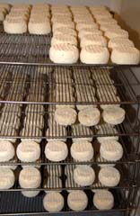 Ziegenkäse Pélardon